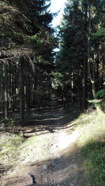 Penzion Liberta Horni Marsov Bagian luar foto